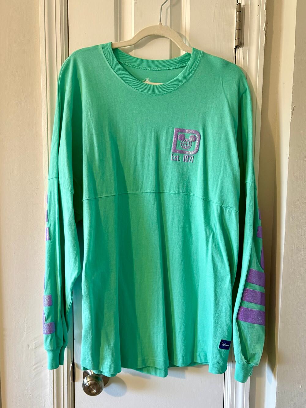 Disney Parks Teal Mint Green Purple Glitter Adult Spirit Jersey
